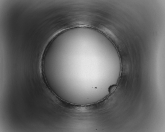 X0000089901182200707121844