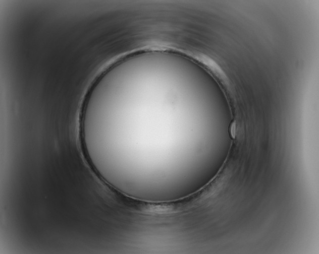X0000089901183200707121844