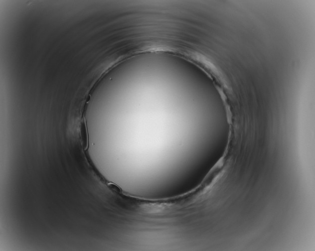 X0000089901185200707121844