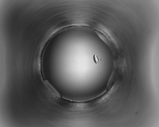 X0000089901188200707121844