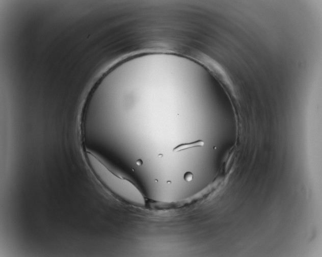 X0000089901192200707121844