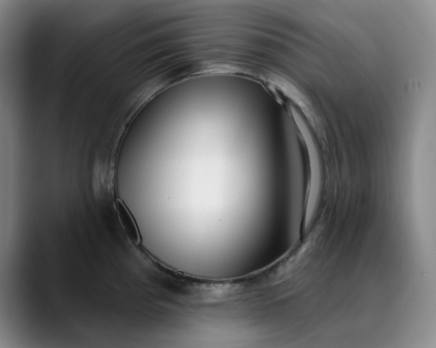 X0000089901193200707121844