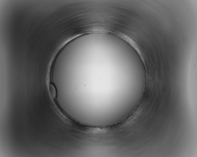 X0000089901195200707121844