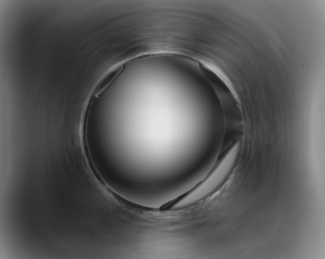 X0000089901197200707121844