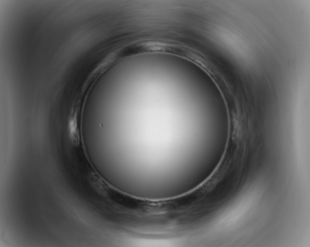 X0000089901198200707121844