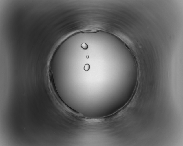 X0000089901200200707121844