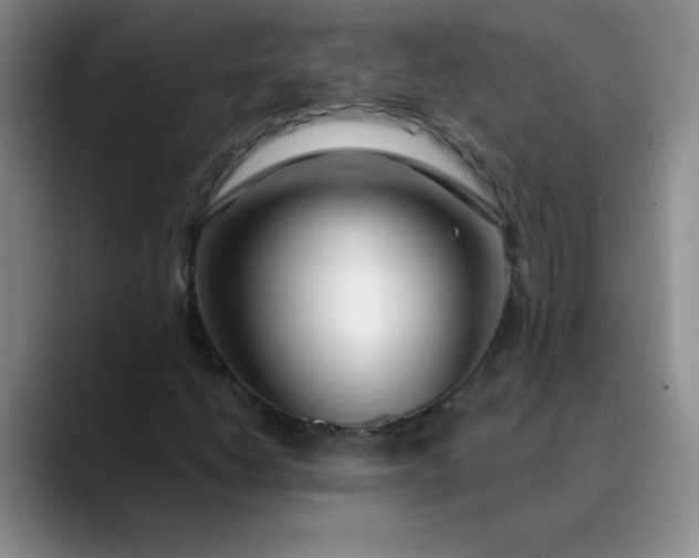 X0000089901206200707121843