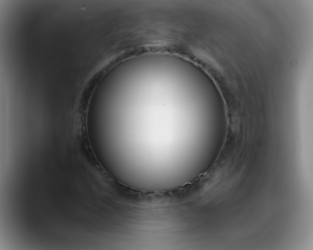 X0000089901208200707121843
