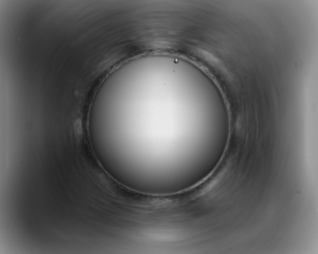 X0000089901209200707121843