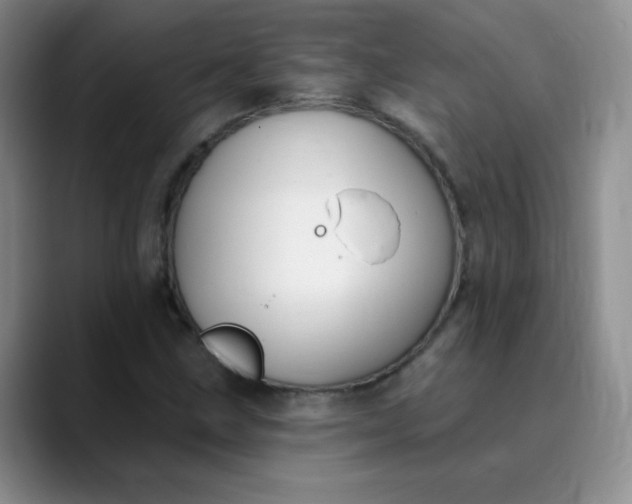 X0000089901211200707121843