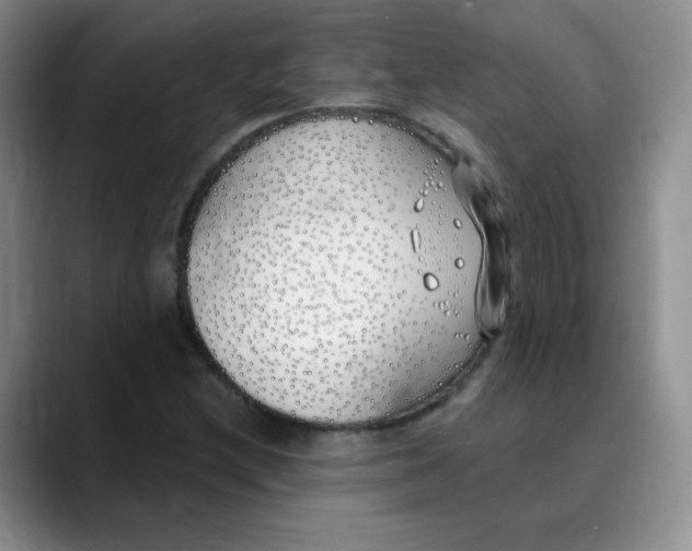 X0000089901212200707121843
