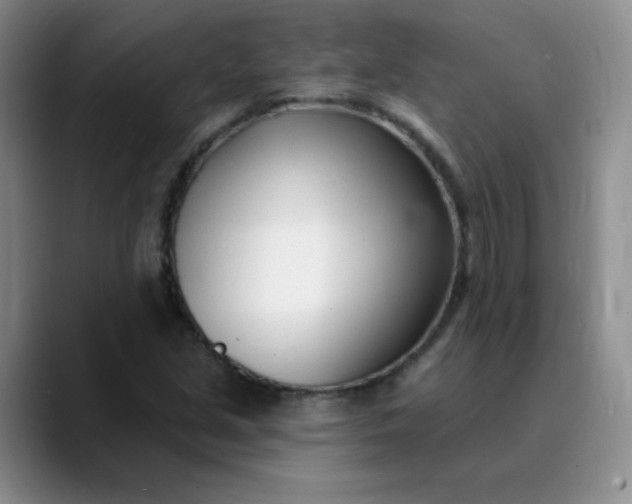 X0000089901213200707121843
