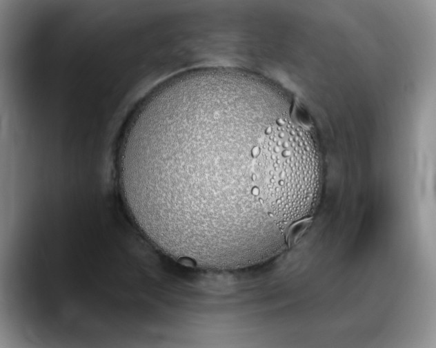 X0000089901215200707121843