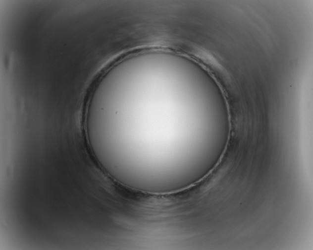 X0000089901216200707121843
