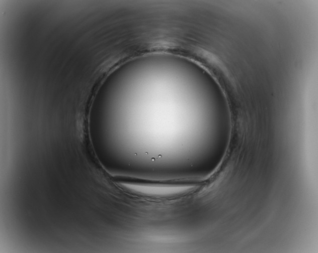 X0000089901217200707121843