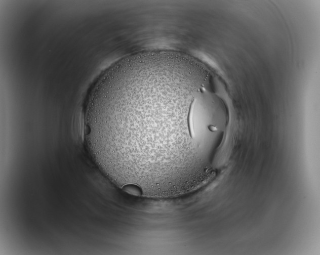 X0000089901219200707121843