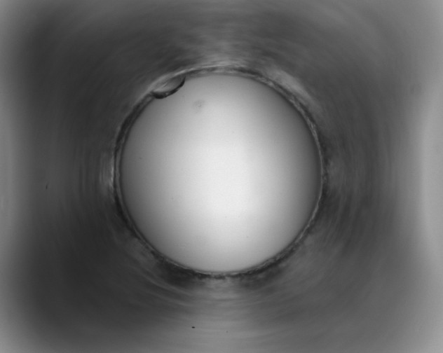 X0000089901220200707121843