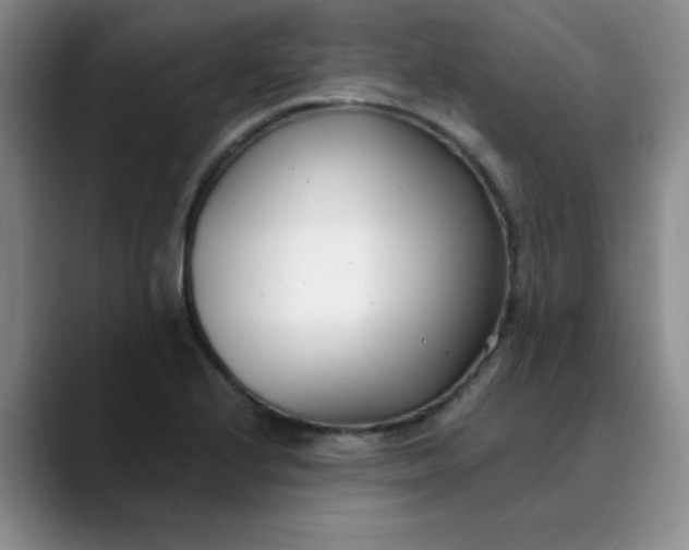 X0000089901224200707121843