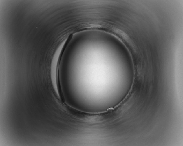 X0000089901225200707121843