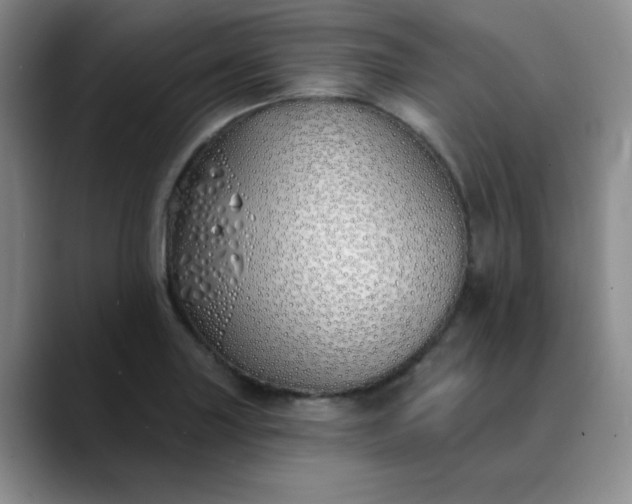 X0000089901227200707121843