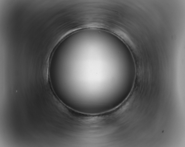 X0000089901228200707121843