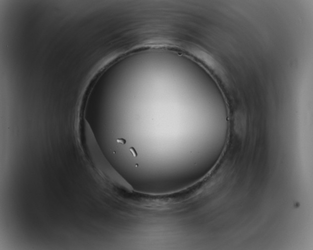 X0000089901229200707121843