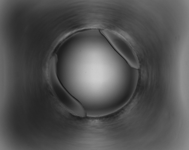 X0000089901230200707121843