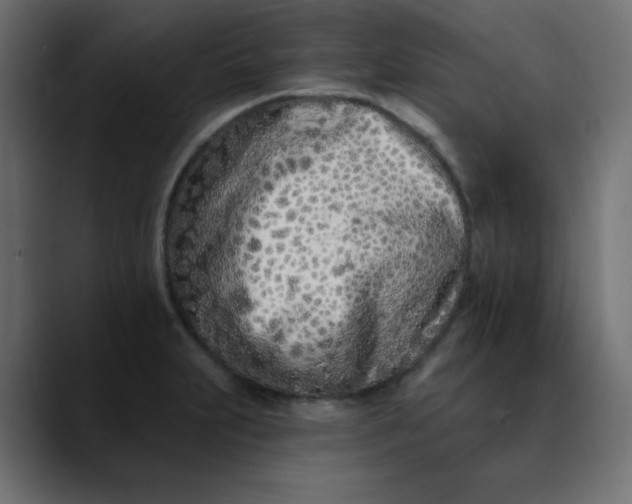 X0000089901231200707121843