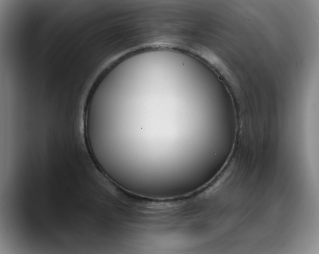 X0000089901232200707121843