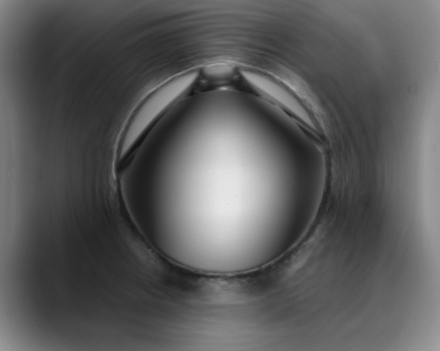 X0000089901234200707121843