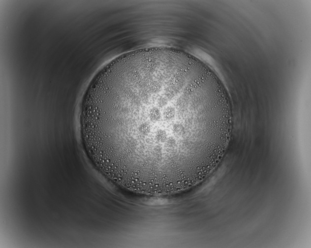 X0000089901235200707121843