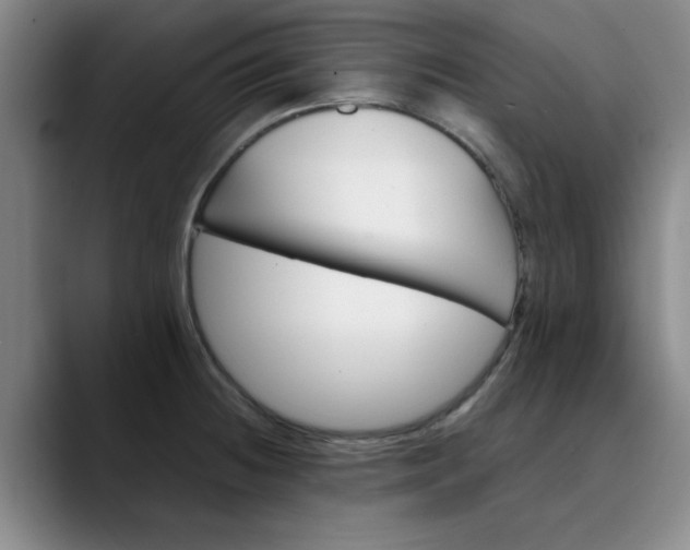 X0000089901236200707121843