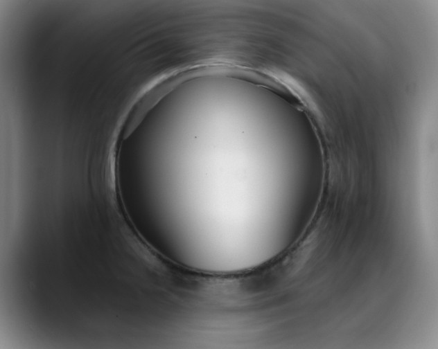 X0000089901238200707121843