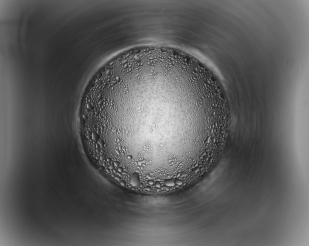 X0000089901239200707121843