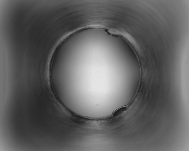 X0000089901240200707121843