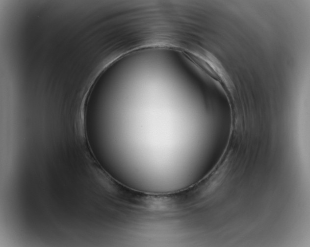 X0000089901242200707121843