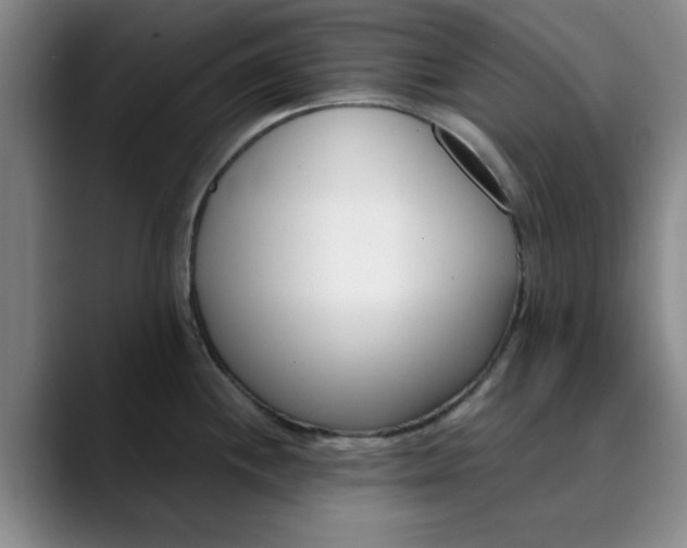 X0000089901244200707121843