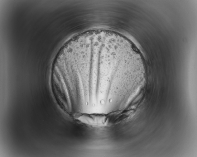 X0000089901245200707121843
