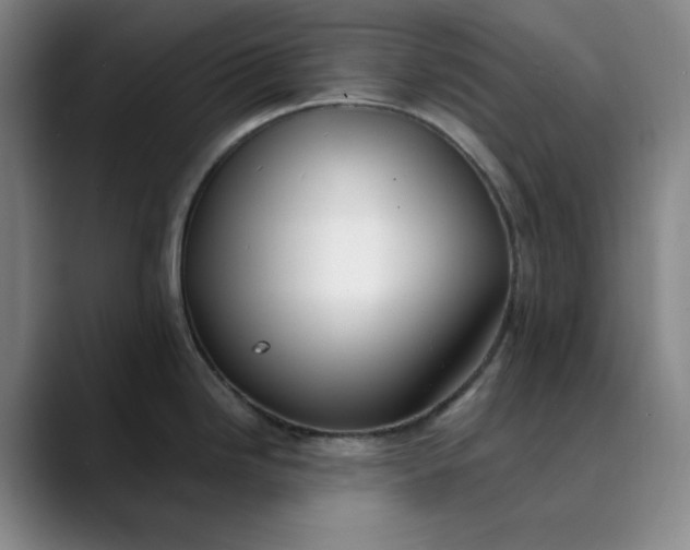 X0000089901246200707121843