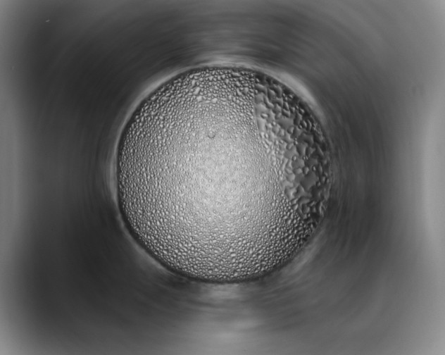 X0000089901247200707121843