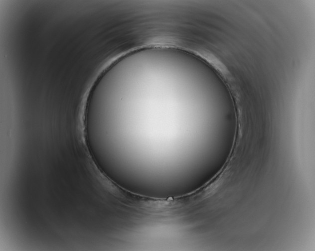 X0000089901248200707121844