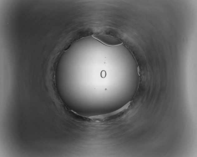 X0000089901249200707121843