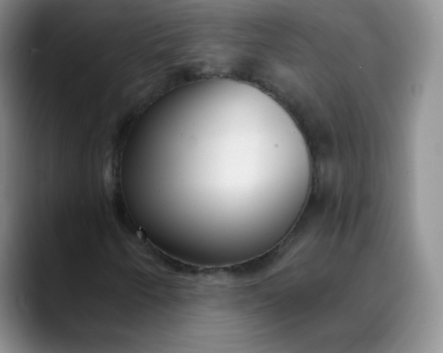 X0000089901250200707121843