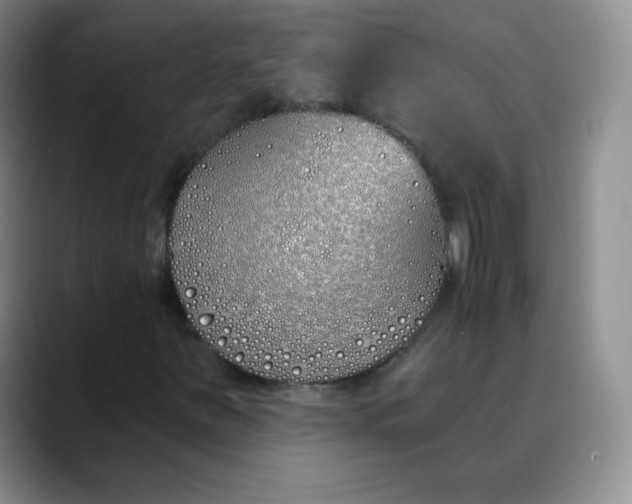 X0000089901251200707121843
