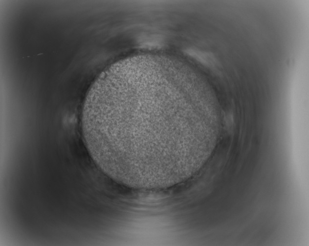 X0000089901254200707121843