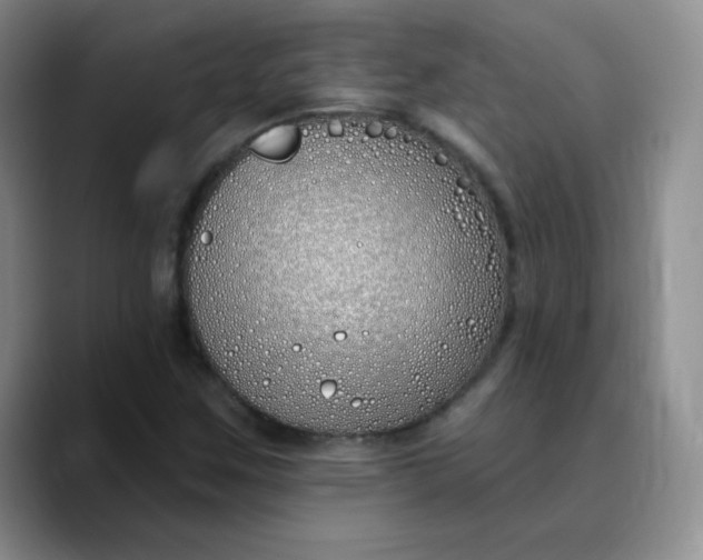 X0000089901259200707121843