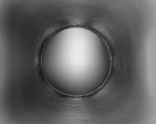 X0000089901261200707121843