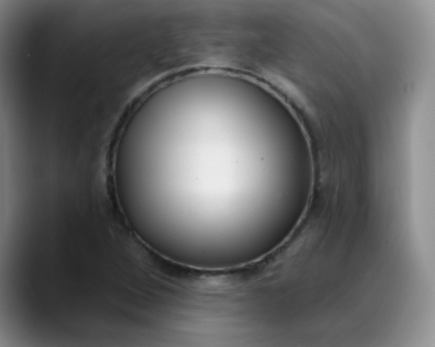 X0000089901264200707121843