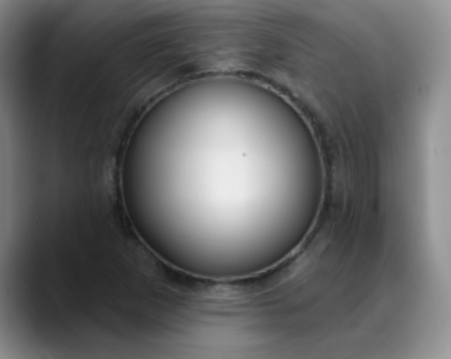 X0000089901265200707121843