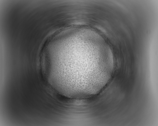 X0000089901266200707121843